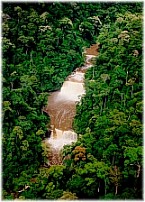 Aerial View of Maliau Falls. Photo By J.Omar