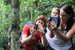 Description: http://www.yayasansabahgroup.org.my/img/photo/conservation/danum-02.jpg