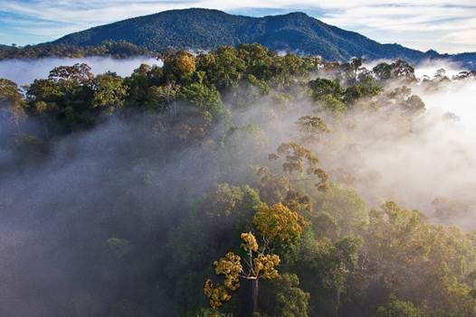 Description: C:\Users\PCIKK140\Desktop\Poster Conservation Area\Forest of DV.jpg